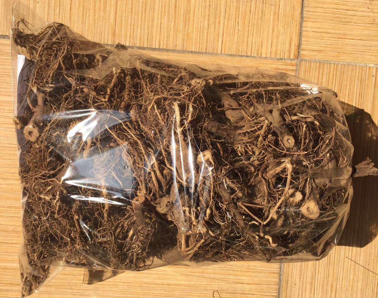 Rễ Cây bồ công anh 1kg