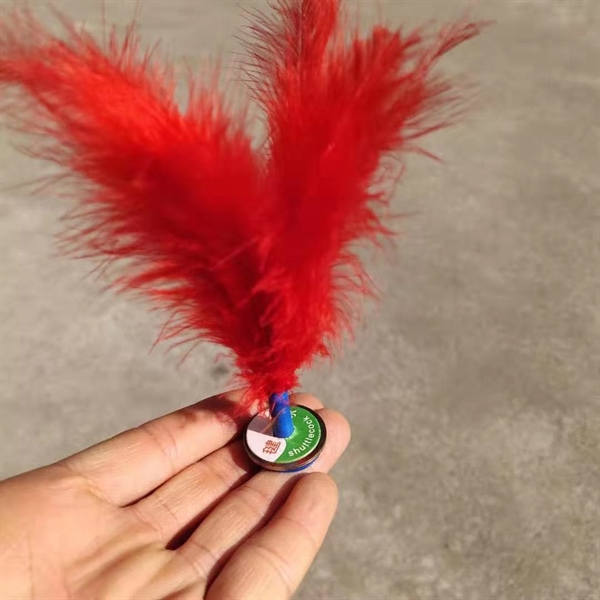 Cầu đá lông gà