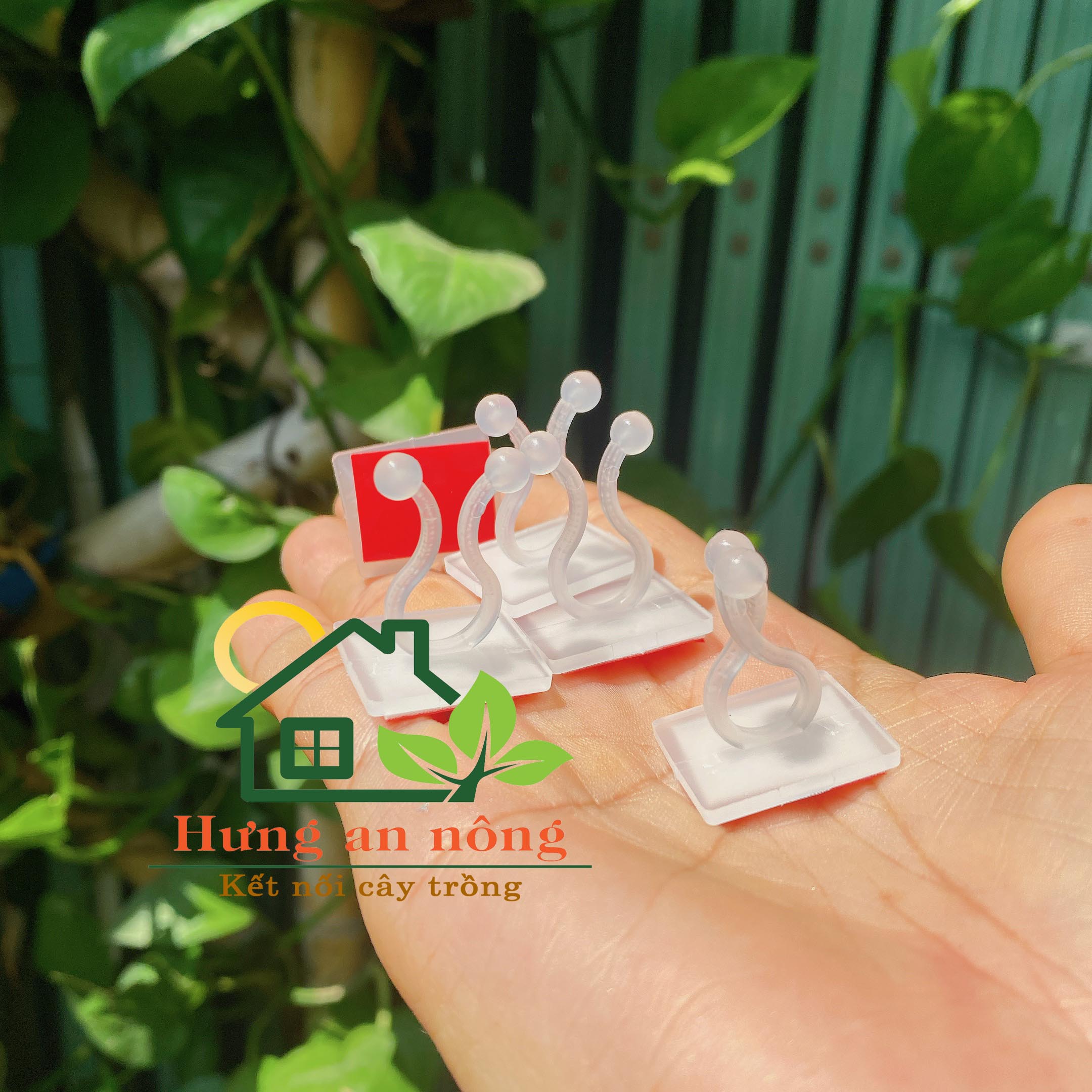 Sét MDANT - Sét 10 móc dán tường cố định dây leo, cố định đường dây diện và nhiều loại khác