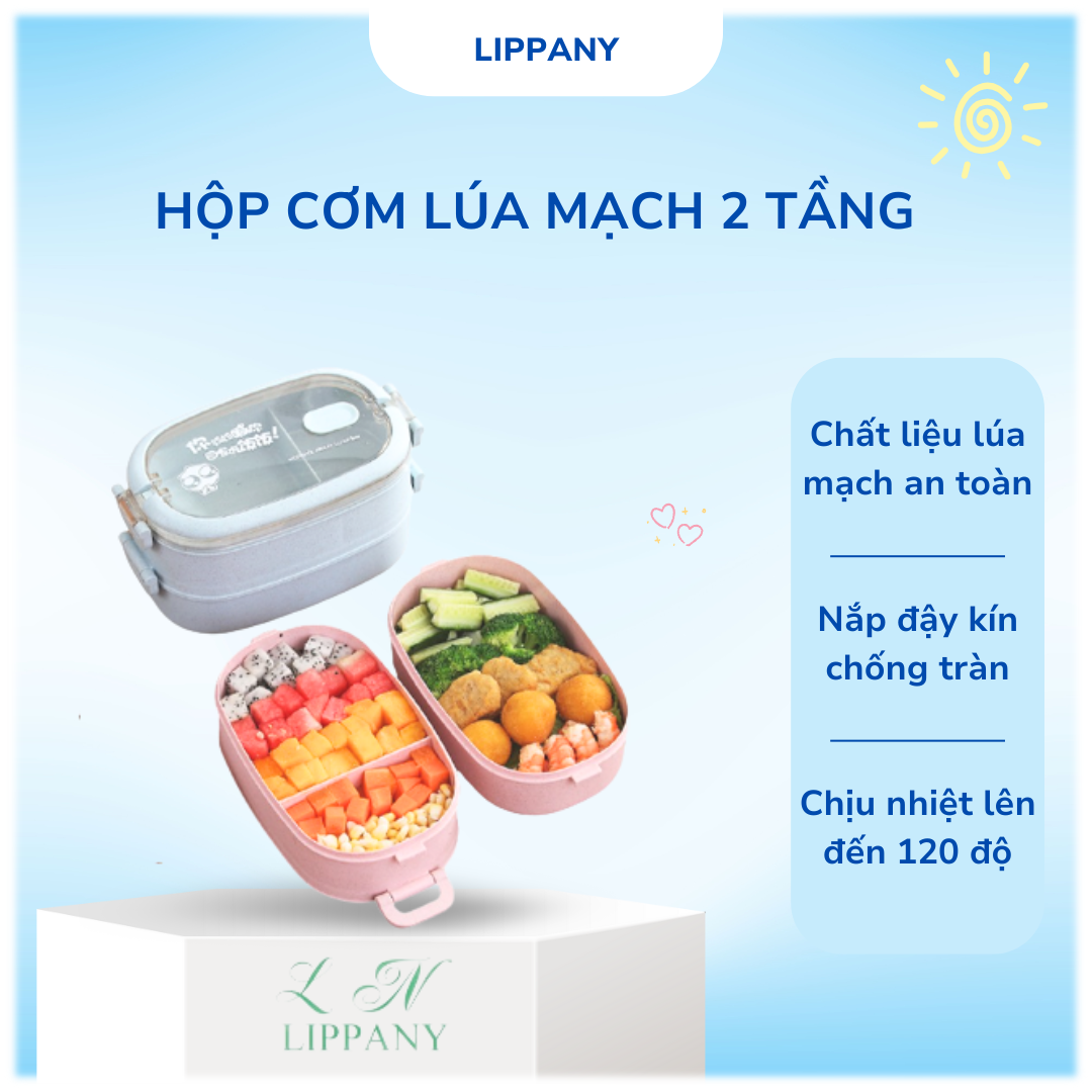 Box office lunch-box rice barley Korean 2 floor