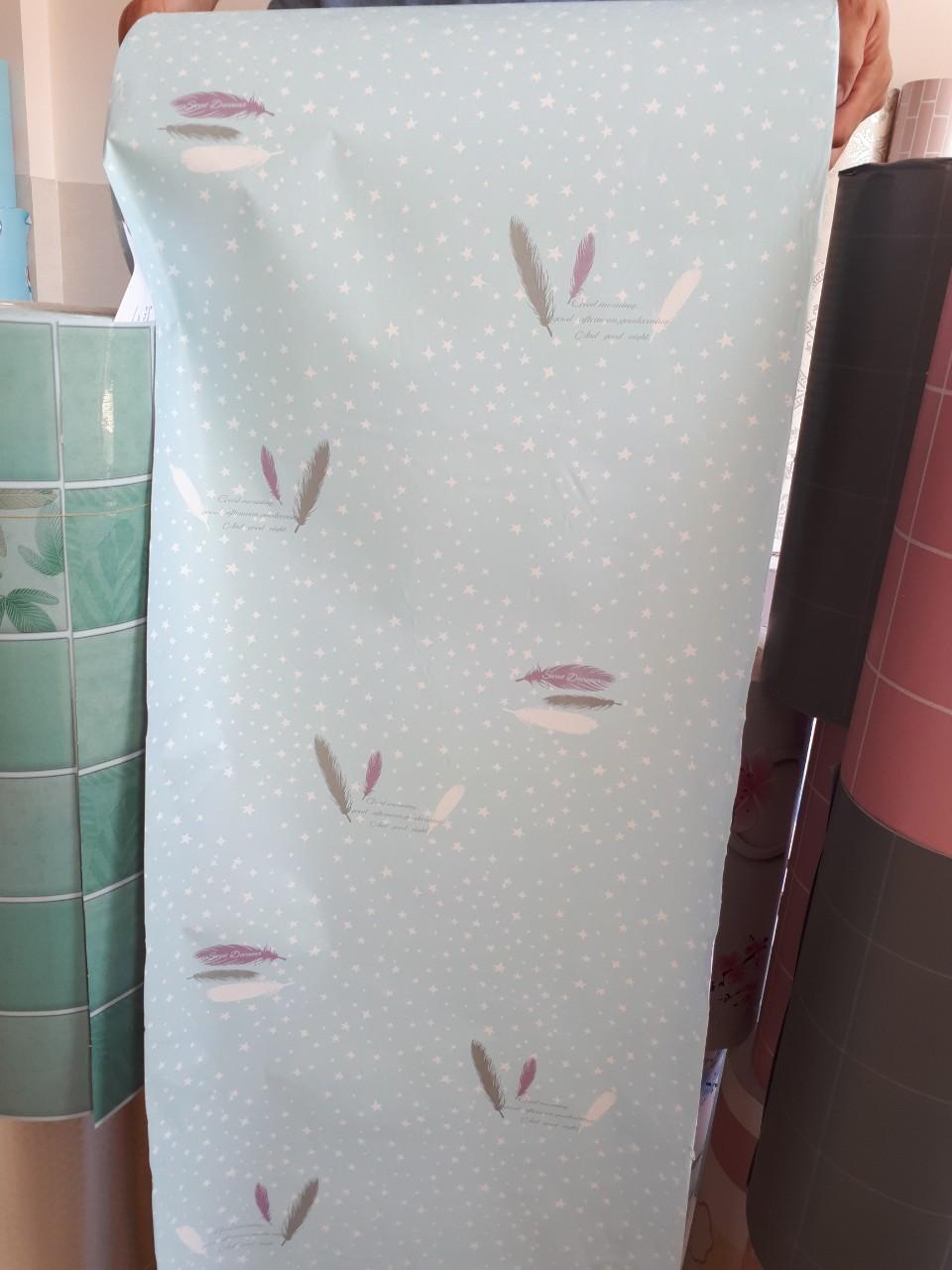 [HCM]Cuộn 5M decal giấy dán tường (có sẵn keo) - LÔNG VŨ XANH HP001
