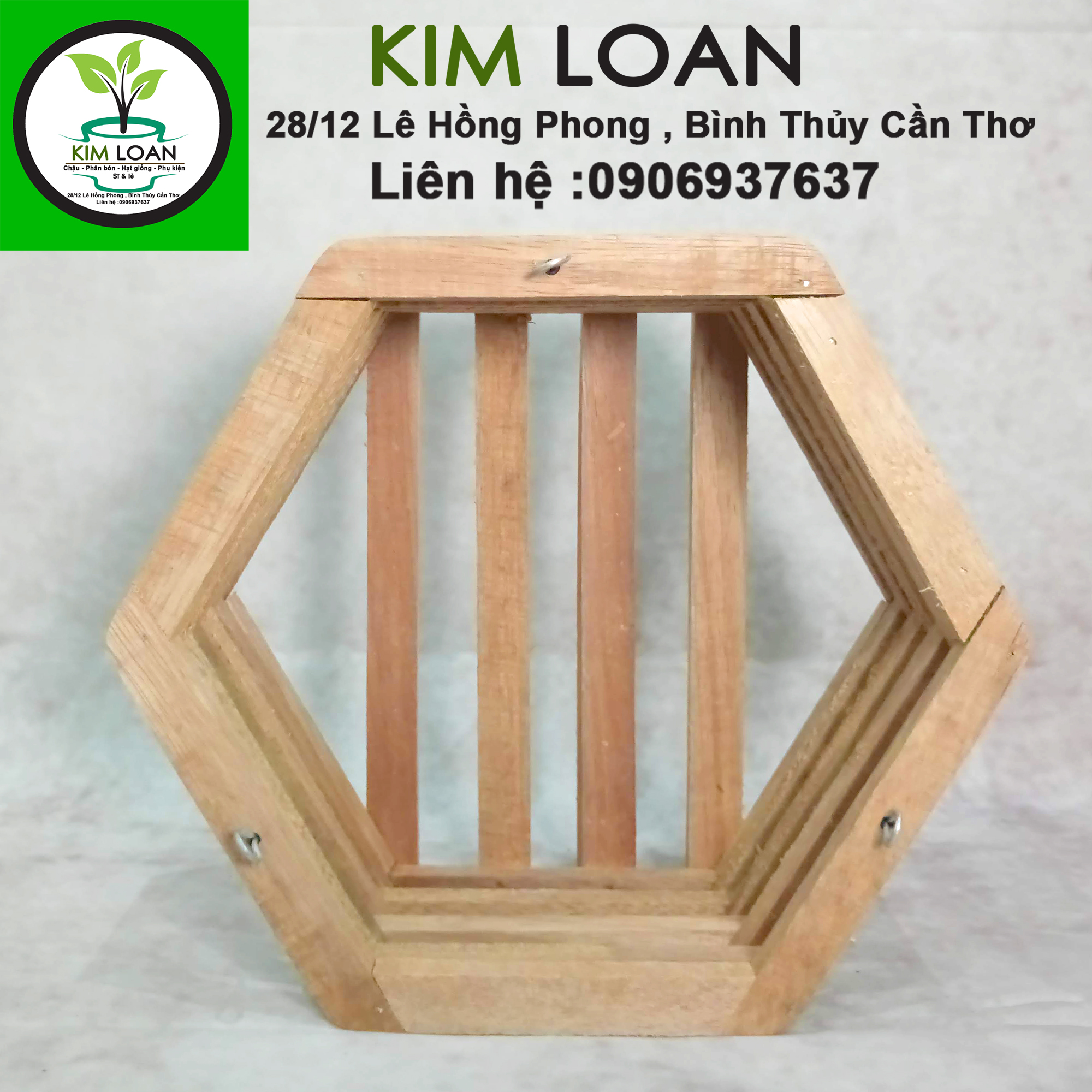 Chậu lan gỗ lục giác 27x12cm