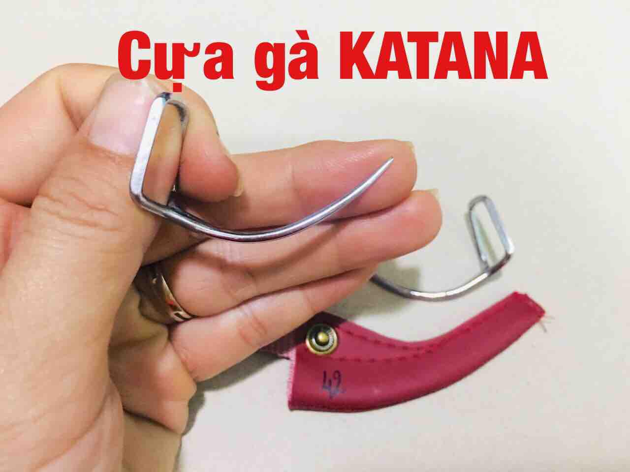 [HCM]Cựa Gà Tre 42