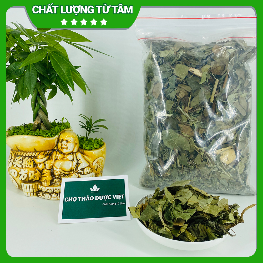 Cây lá gan khô 1kg, lá mát gan rừng, hỗ trợ giải độc, hạ men gan, bảo vệ gan, thanh lọc cơ thể