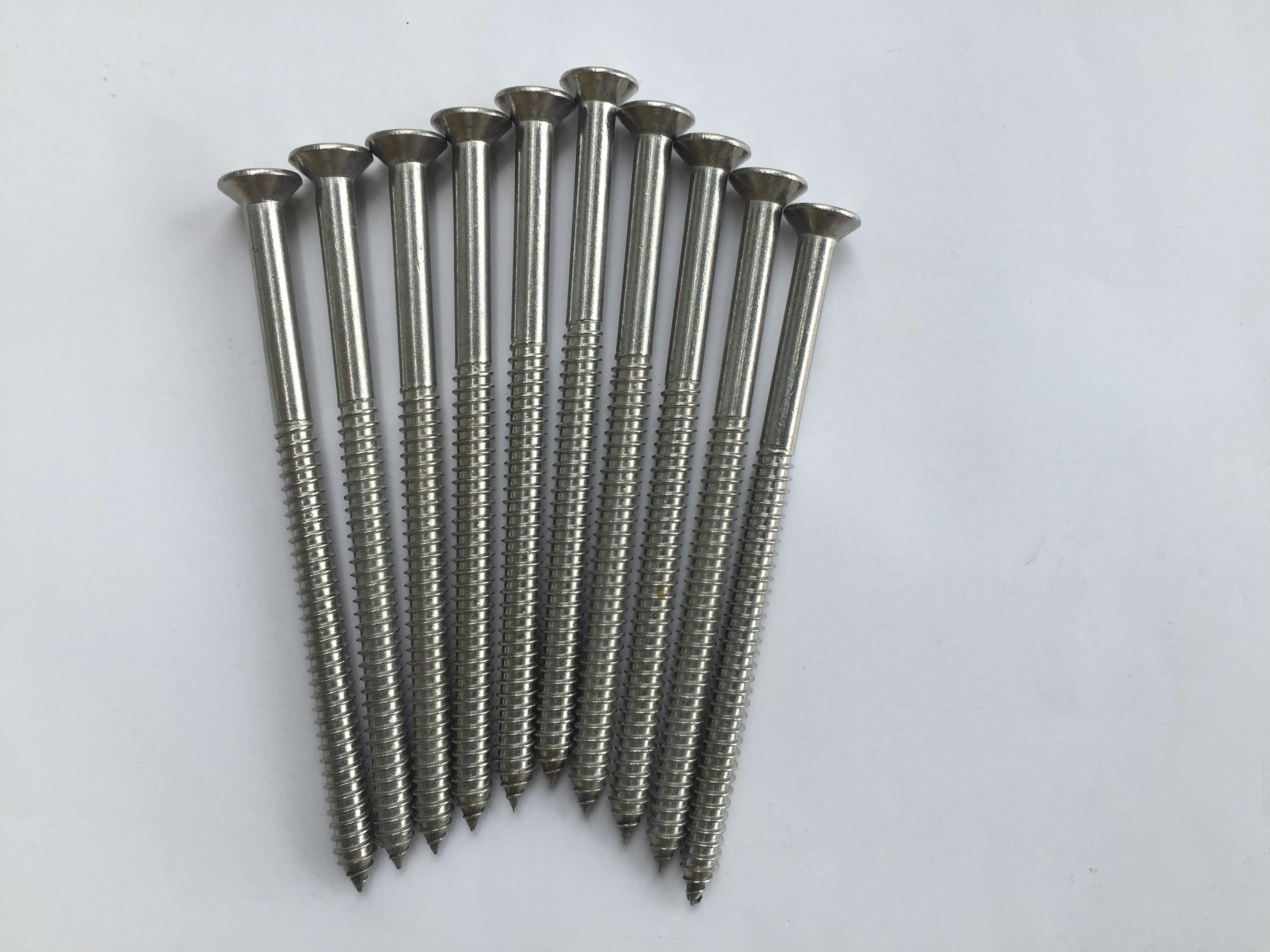 50 chiếc vít inox 304 phi 6 dài 10cm