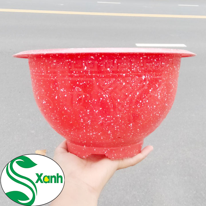 Combo 5 chậu nhựa đá đỏ T28 (280x150mm)