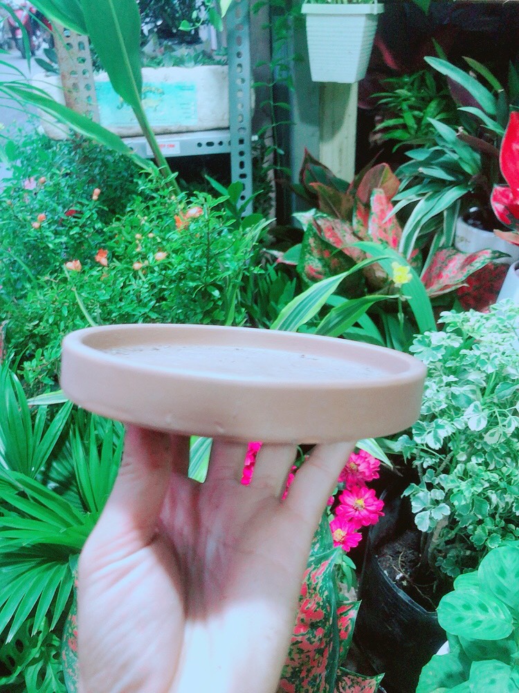 Đĩa Lót Chậu (đường kính 14cm)