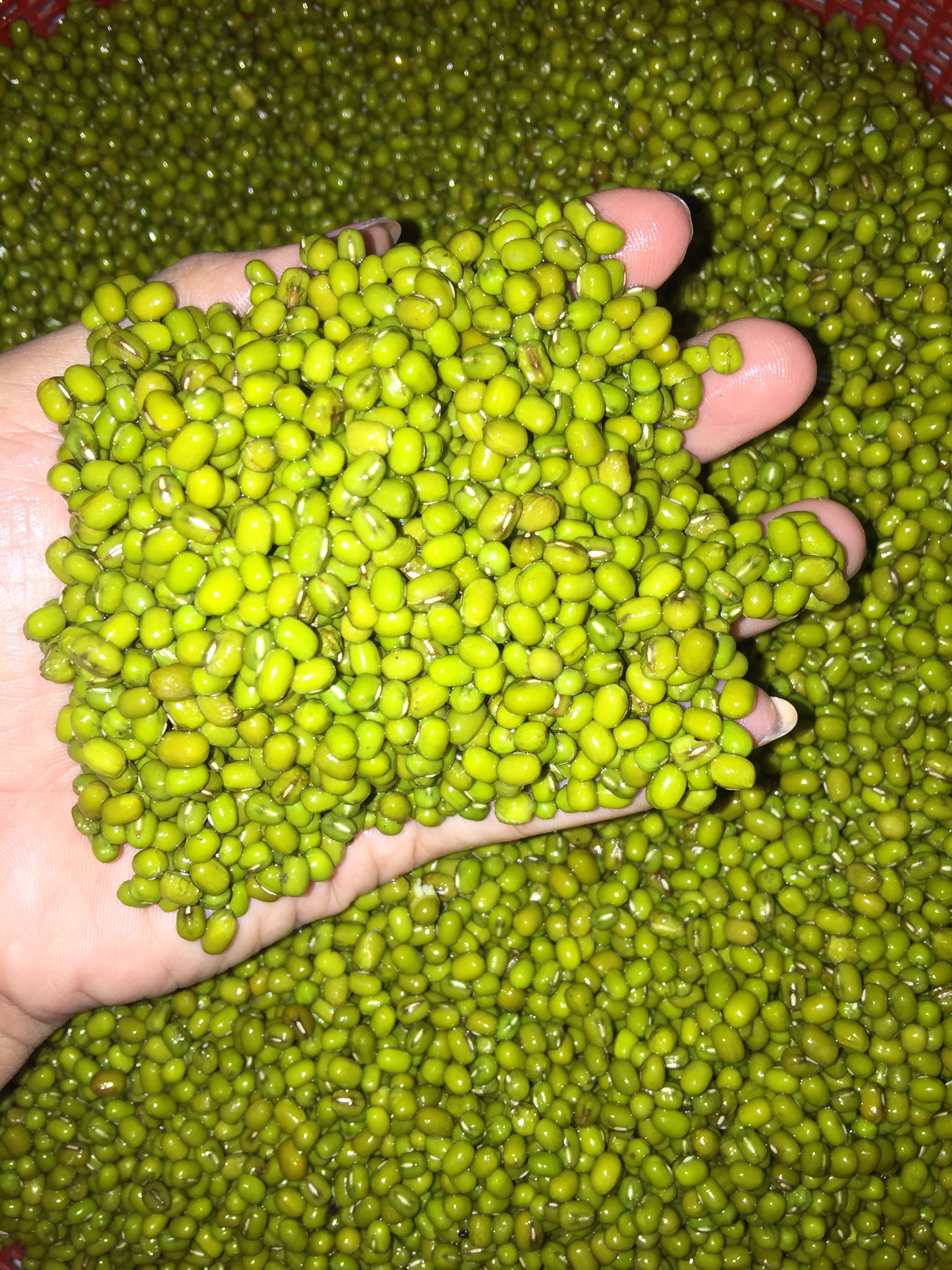 500GR BỘT ĐẬU XANH NGON-BỔ-RẺ