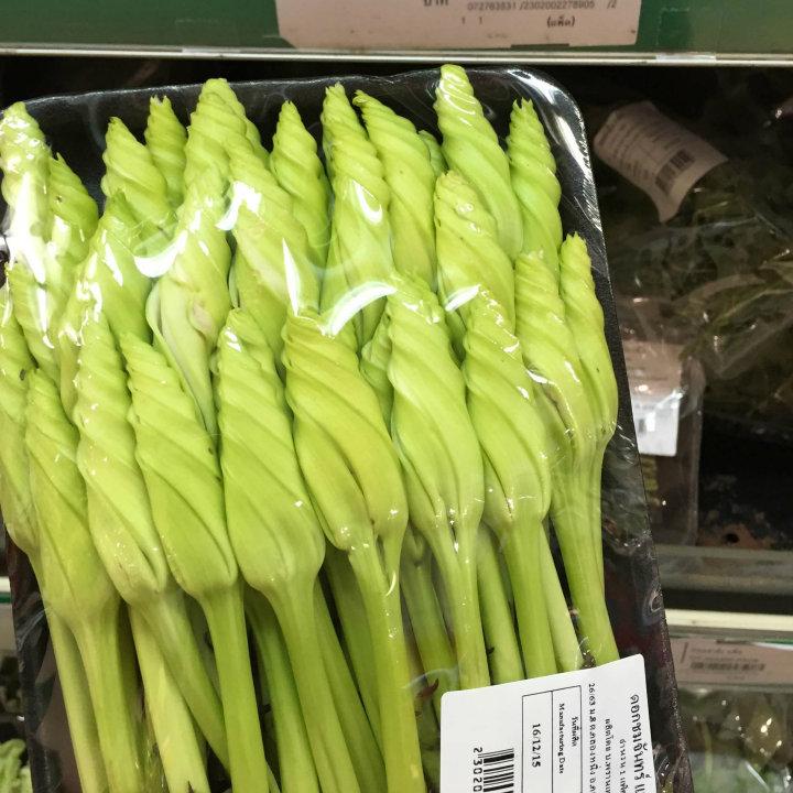 Hạt giống Hoa Chom chan Thái Lan gói 5 hạt