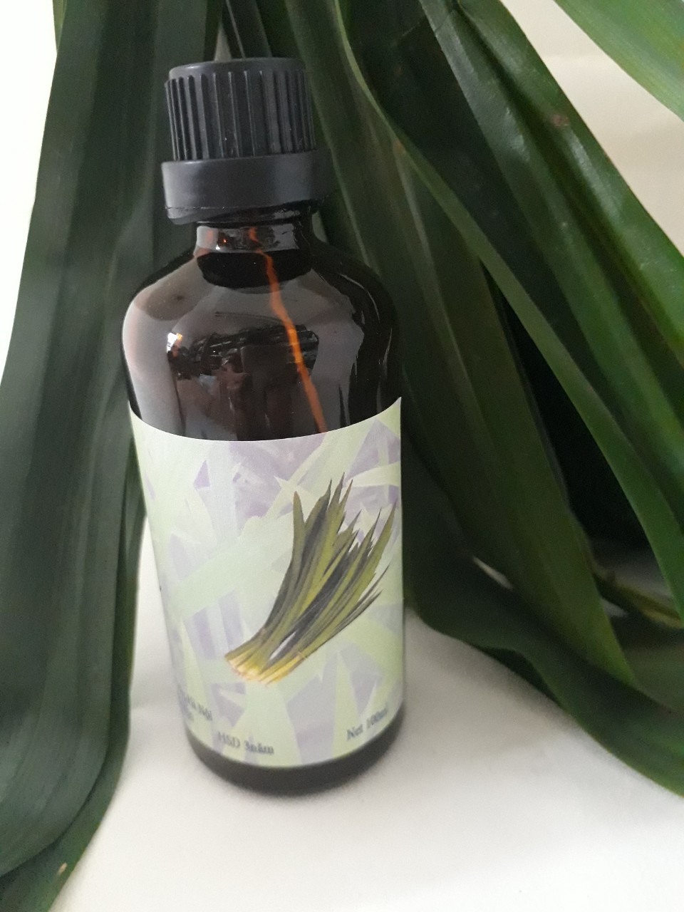 Tinh dầu Lá Nếp thơm Lọ 100ml