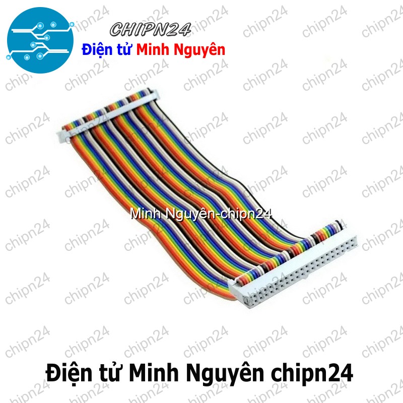 [1 sợi] (D100) Dây GPIO Raspberry Pi B+ 40P - HH005890