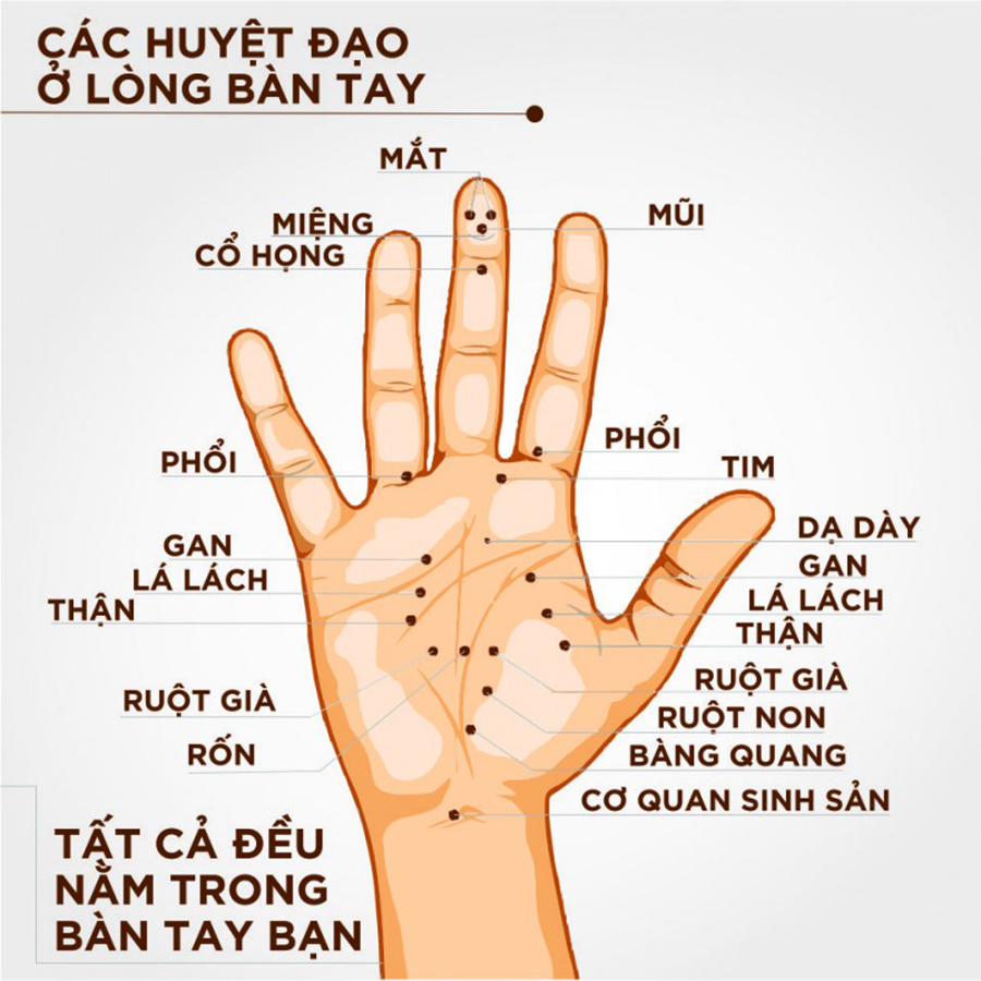 Dụng cụ massage bàn lăn tay Duy Thành YMS07