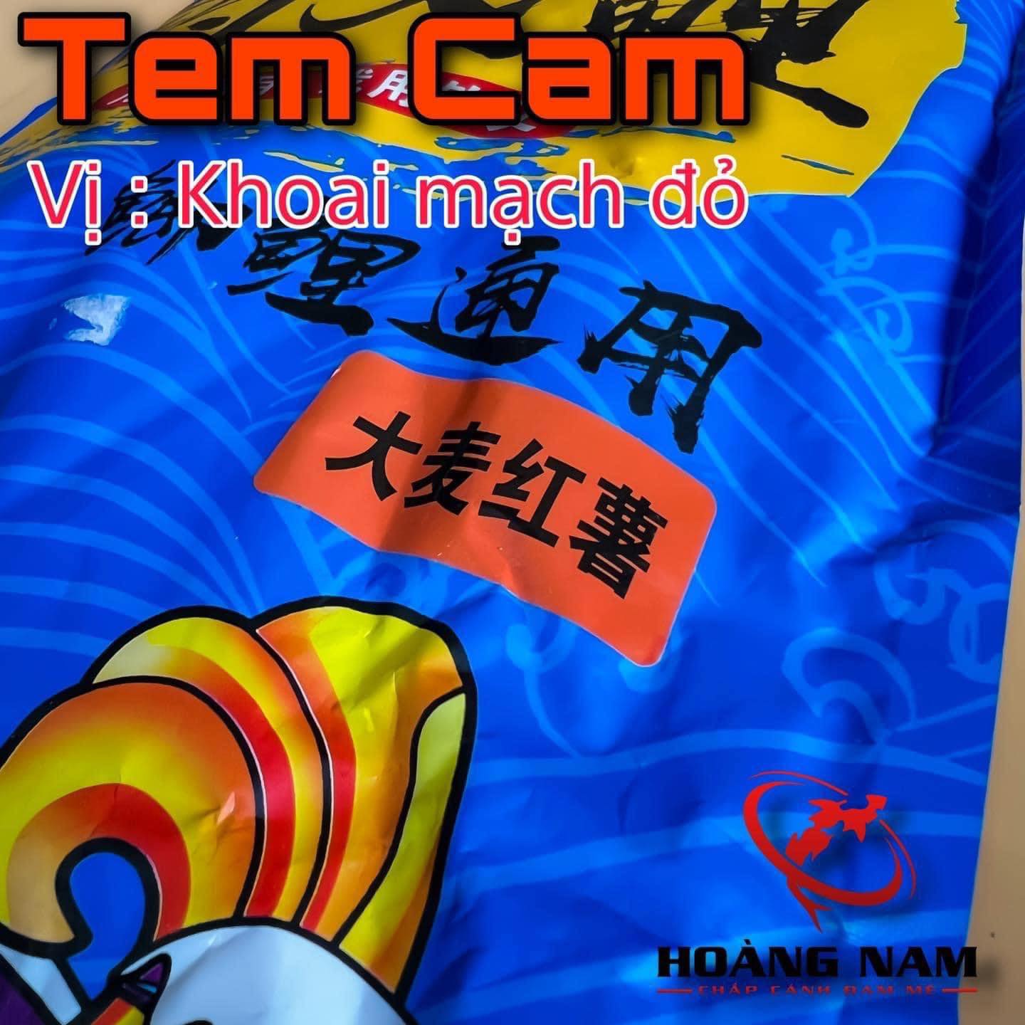 Cám Chép Phi Yến