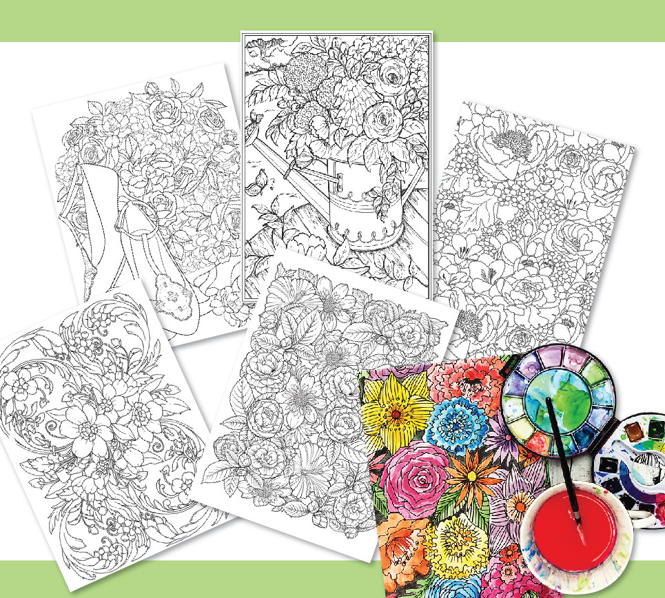 line art tranh tô màu nước combo 5 tranh giấy dầy đẹp