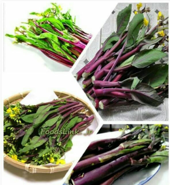 "Gói 5Gr Hạt " Hạt giống rau cải ngồng đỏ