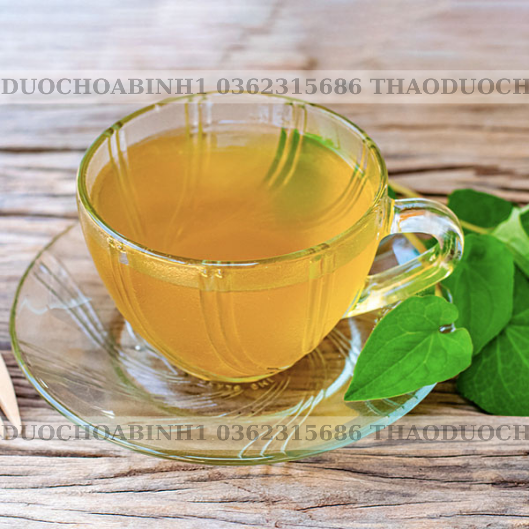 Trà Diếp Cá - Bịch 50 Túi Lọc