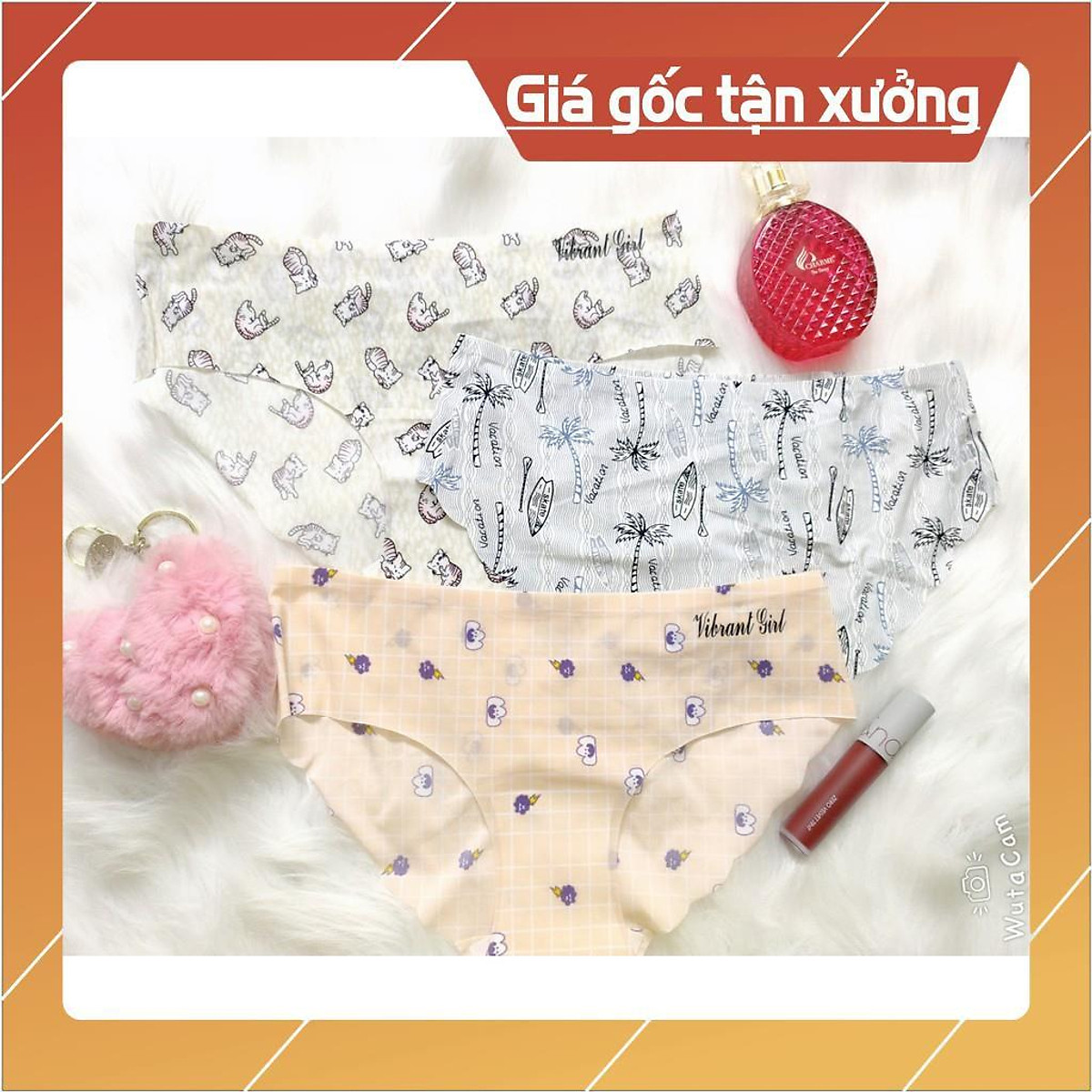 Combo 10 quần lót su trơn hoạt hình 015