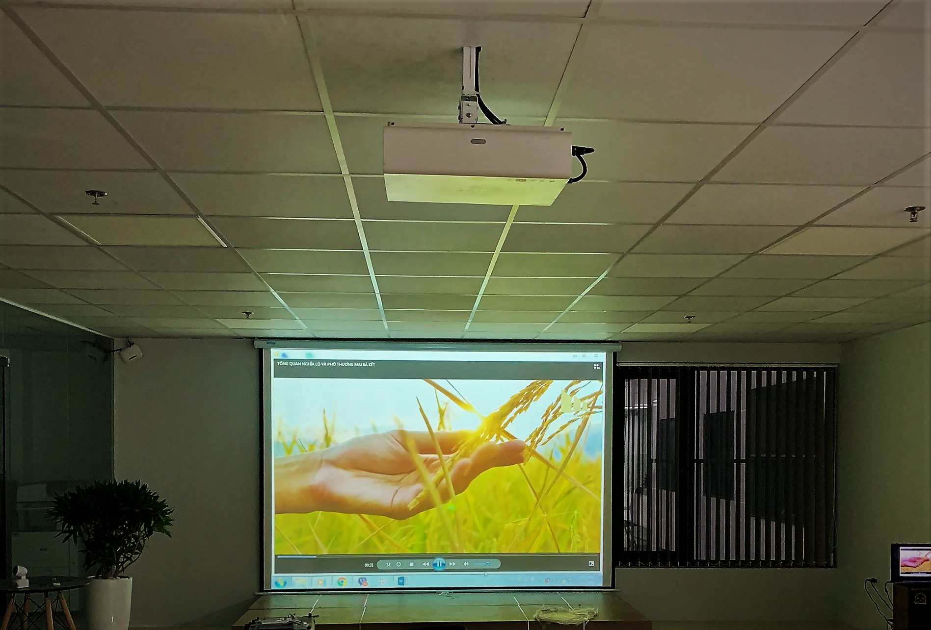Màn chiếu điện 150 inch