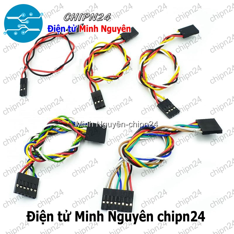 [2 sợi] (D119) Dây bẹ màu 2.54mm 2p 20cm