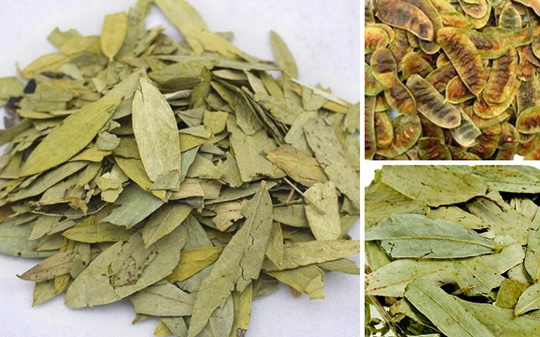 1kg Lá Phan Tả Diệp