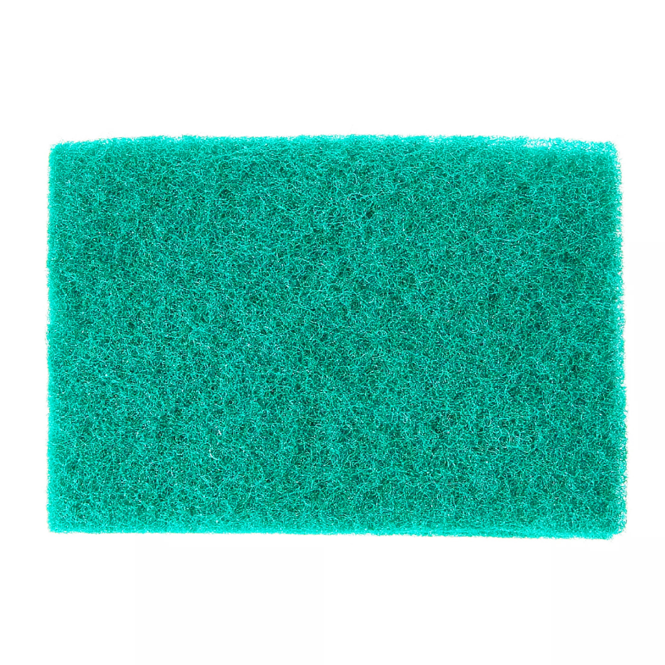 Freight blue scuff sinus pot. Instrument freight sponge scrub wash cup fork convenient.