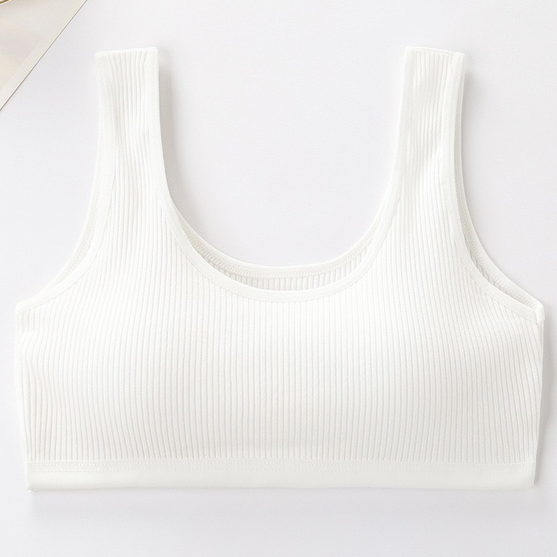 Combo 5 áo lá học sinh cotton tăm 2 lớp mút mỏng 007
