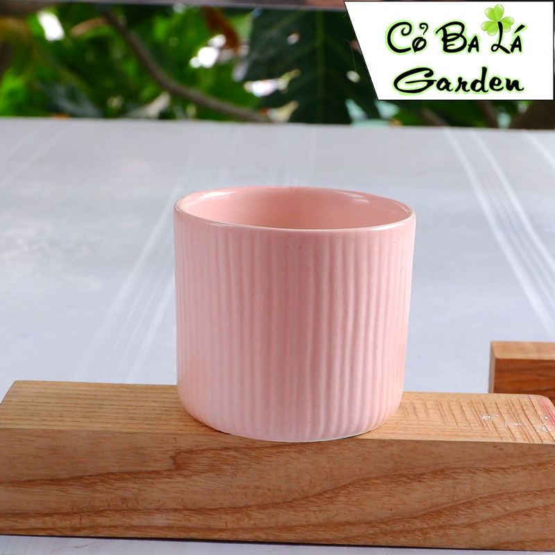 chậu sứ bát tràng hình trụ