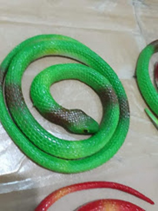 Đồ chơi rắn cao su