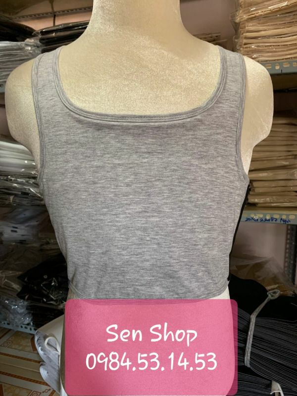 COMBO 3 ÁO NỊT NGỰC TOMBOY CÓ VIỀN 300K