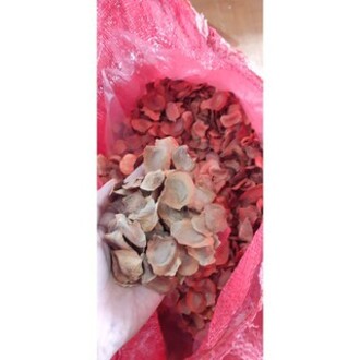 200 gram hạt xà cừ