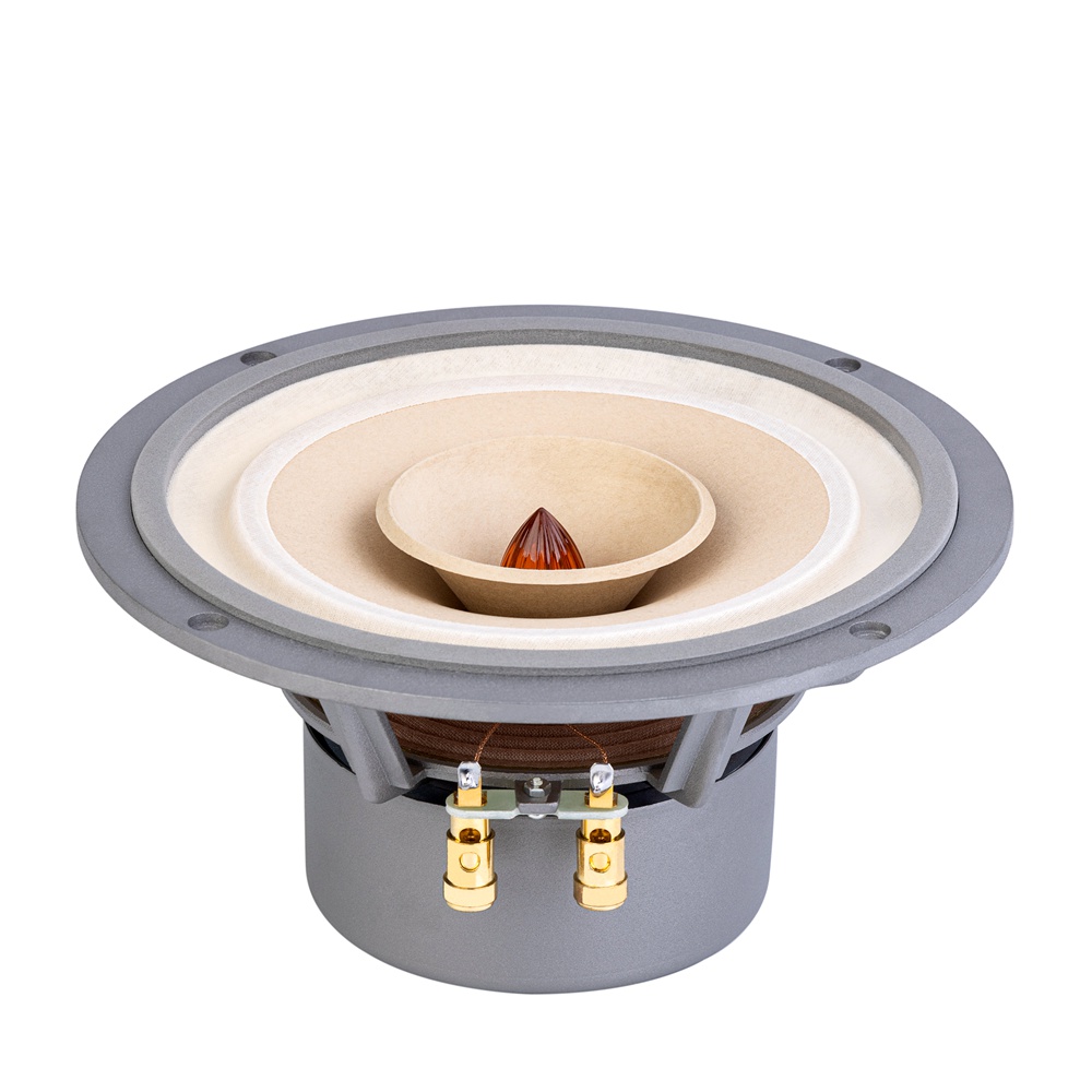 Củ loa rời toàn dải 20cm Lii Audio Fast-8, giá bán theo cặp