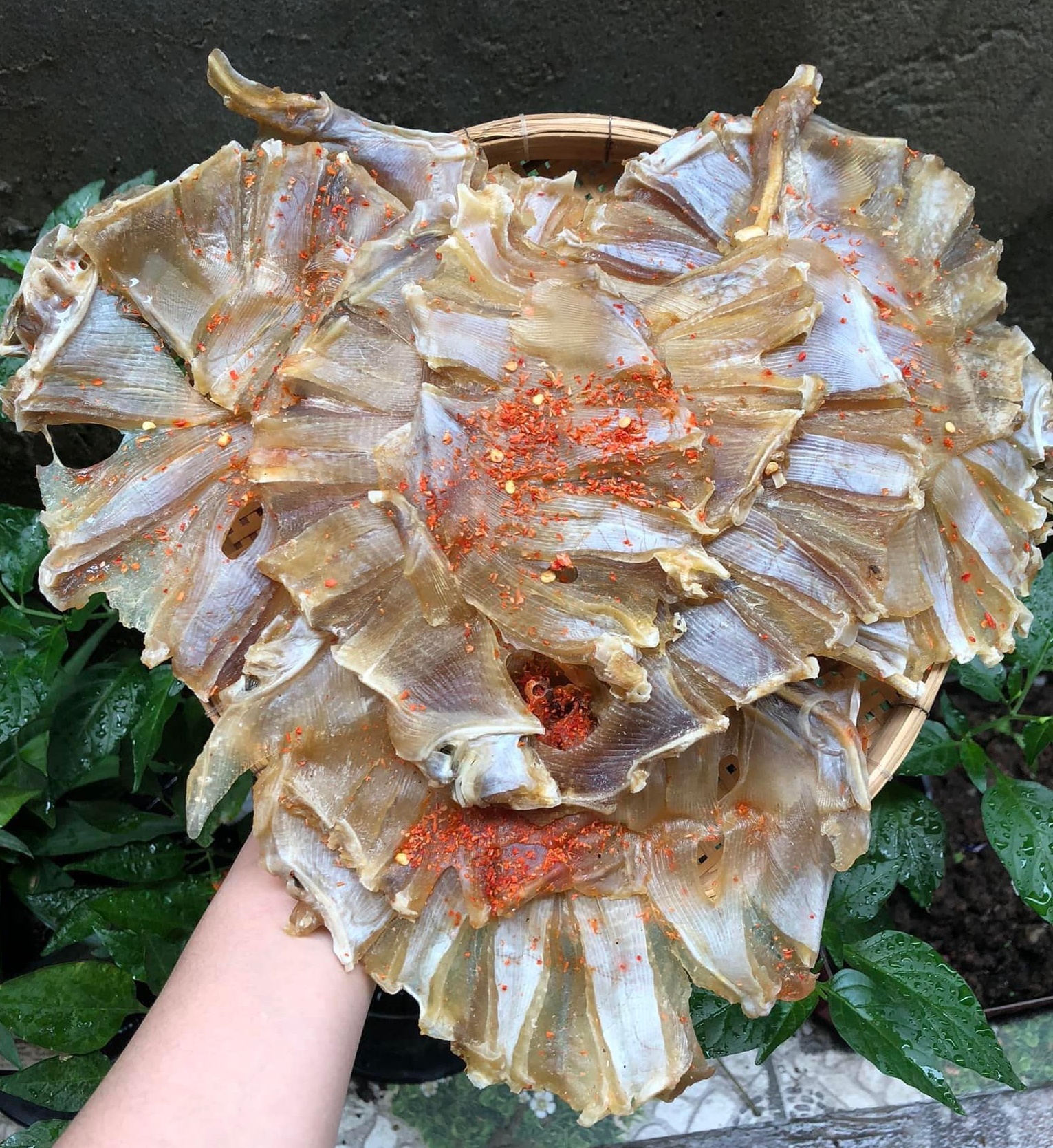 500GR KHÔ CÁ ĐUỐI CÀ MAU--- ĐẠI NGƯ