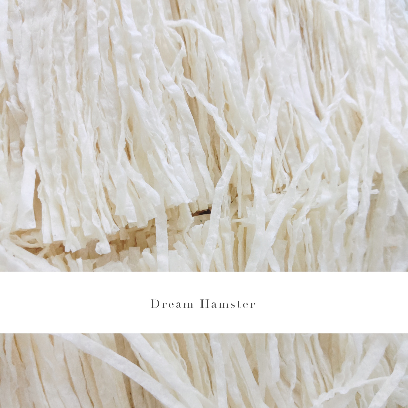 Cá sợi trắng Hamster (45gr)