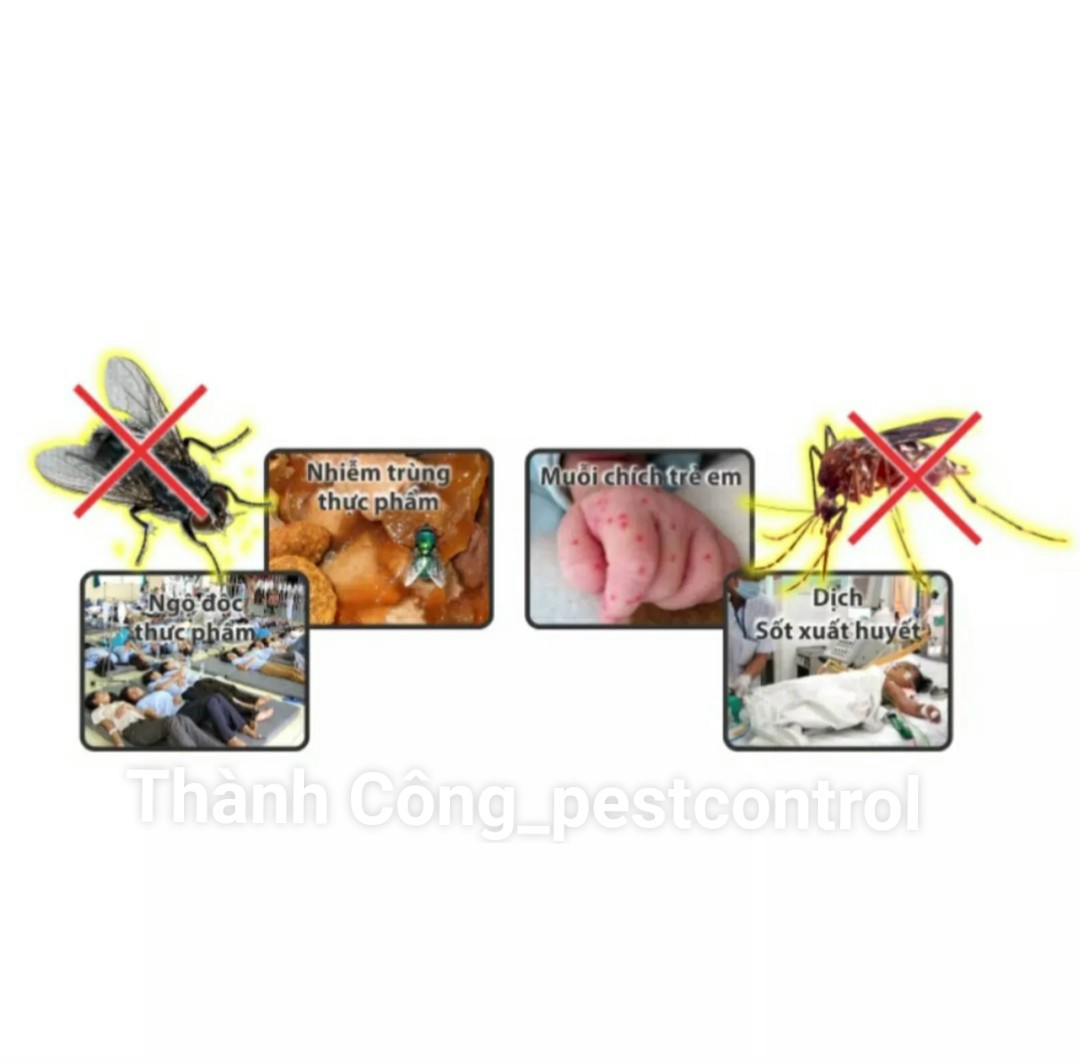 [HCM]Combo 2 chai Thuốc diệt muỗi Permecide 50EC