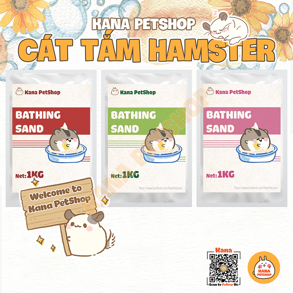 Hamster Sand Bath . Hygene Sand Bath For Hamster