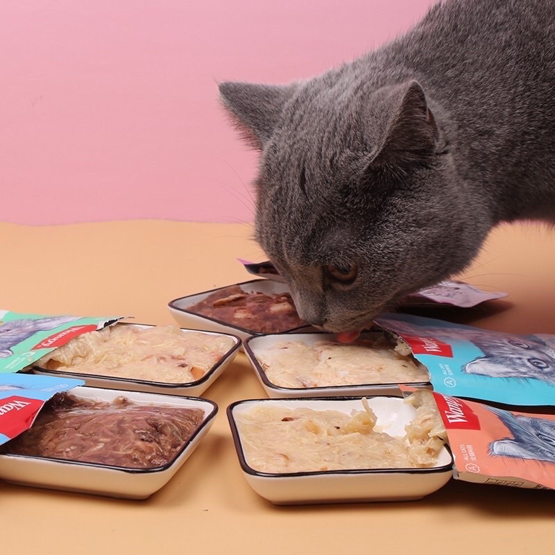Pate Wanpy (Siêu tiết kiệm, siêu ngon, giá gốc) Cho Mèo Mọi Lứa Tuổi Gói 80g - Catspet Shop