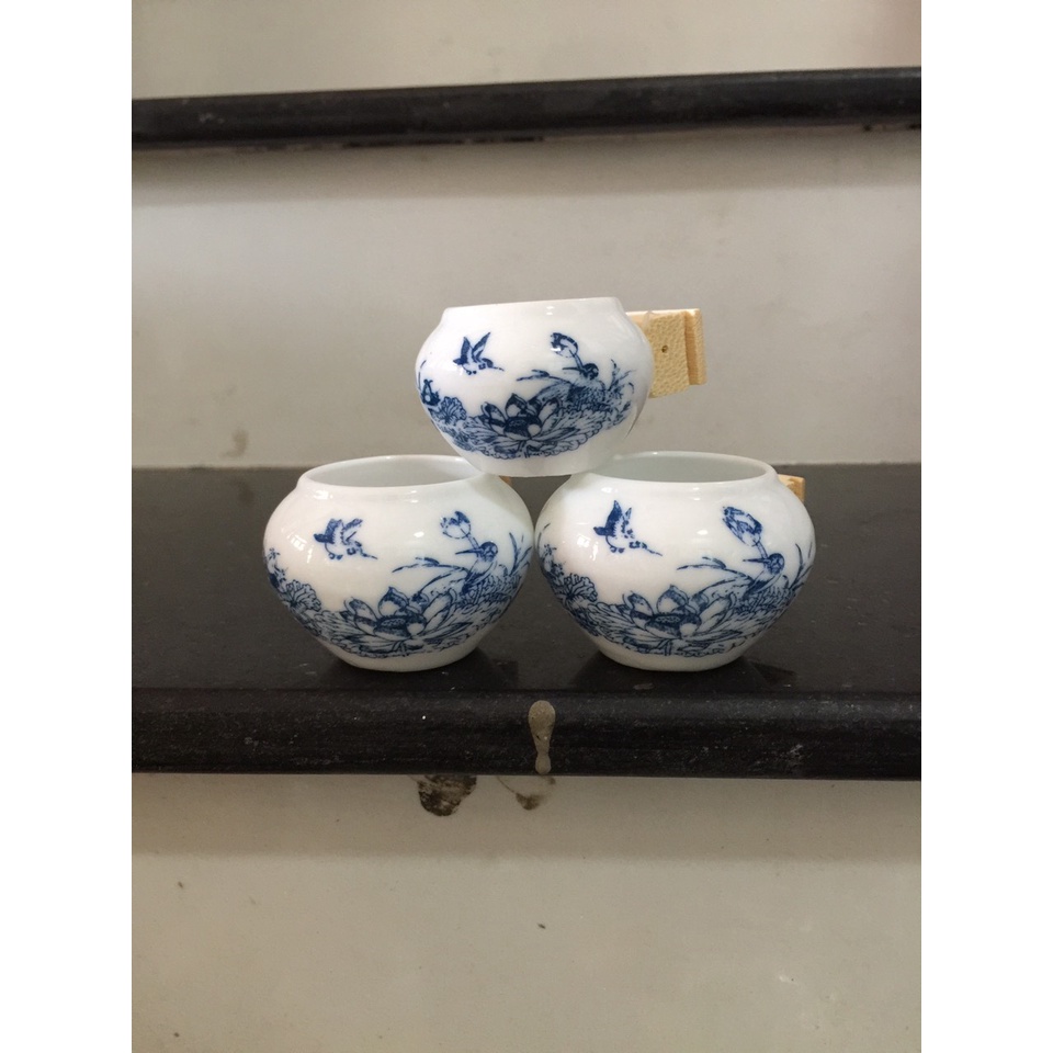 Cóng chim chào mào, chòe than, chòe lửa, my, cóng chim rẻ đẹp
