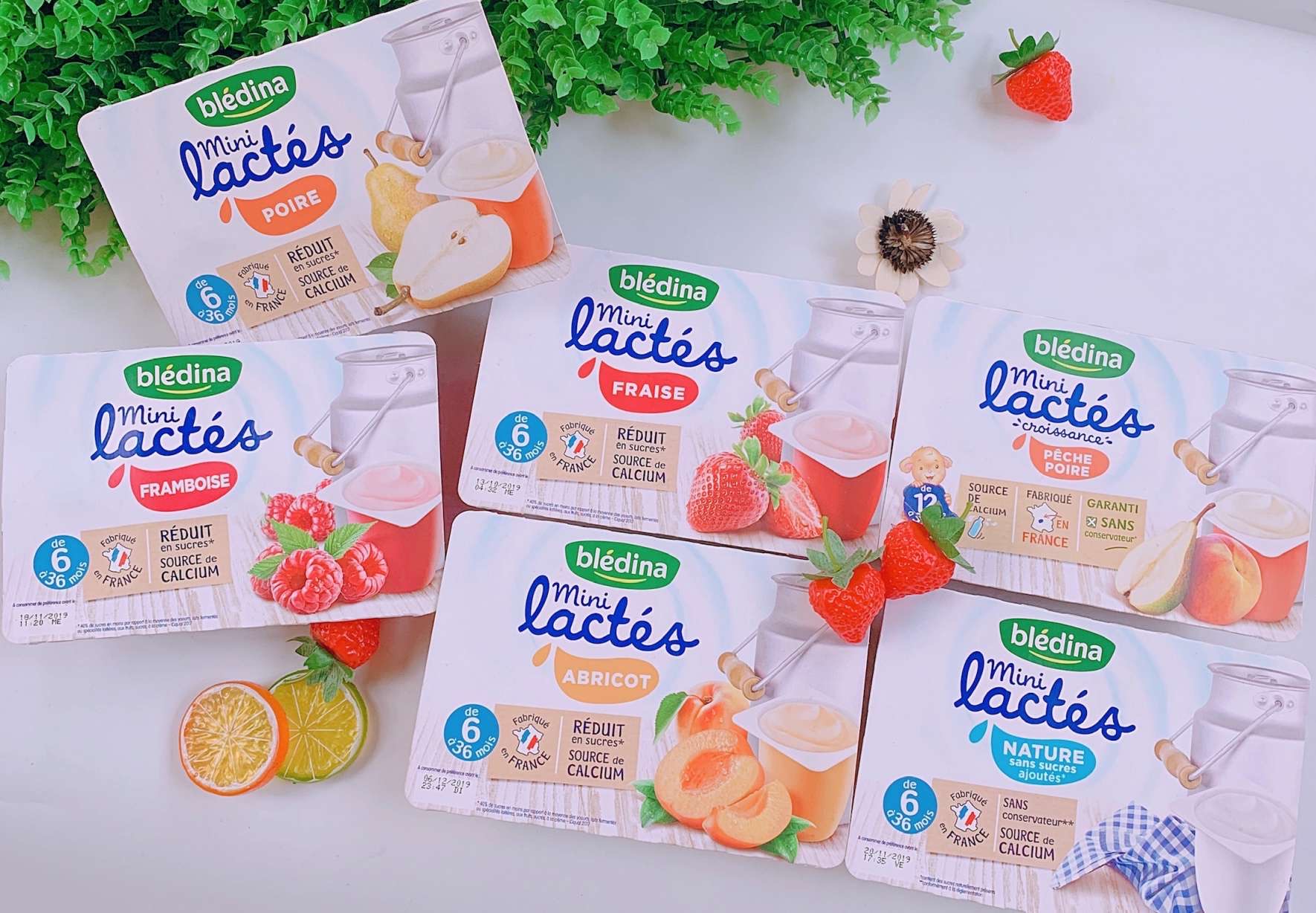 Sữa chua Bledina 6m+ đủ vị
