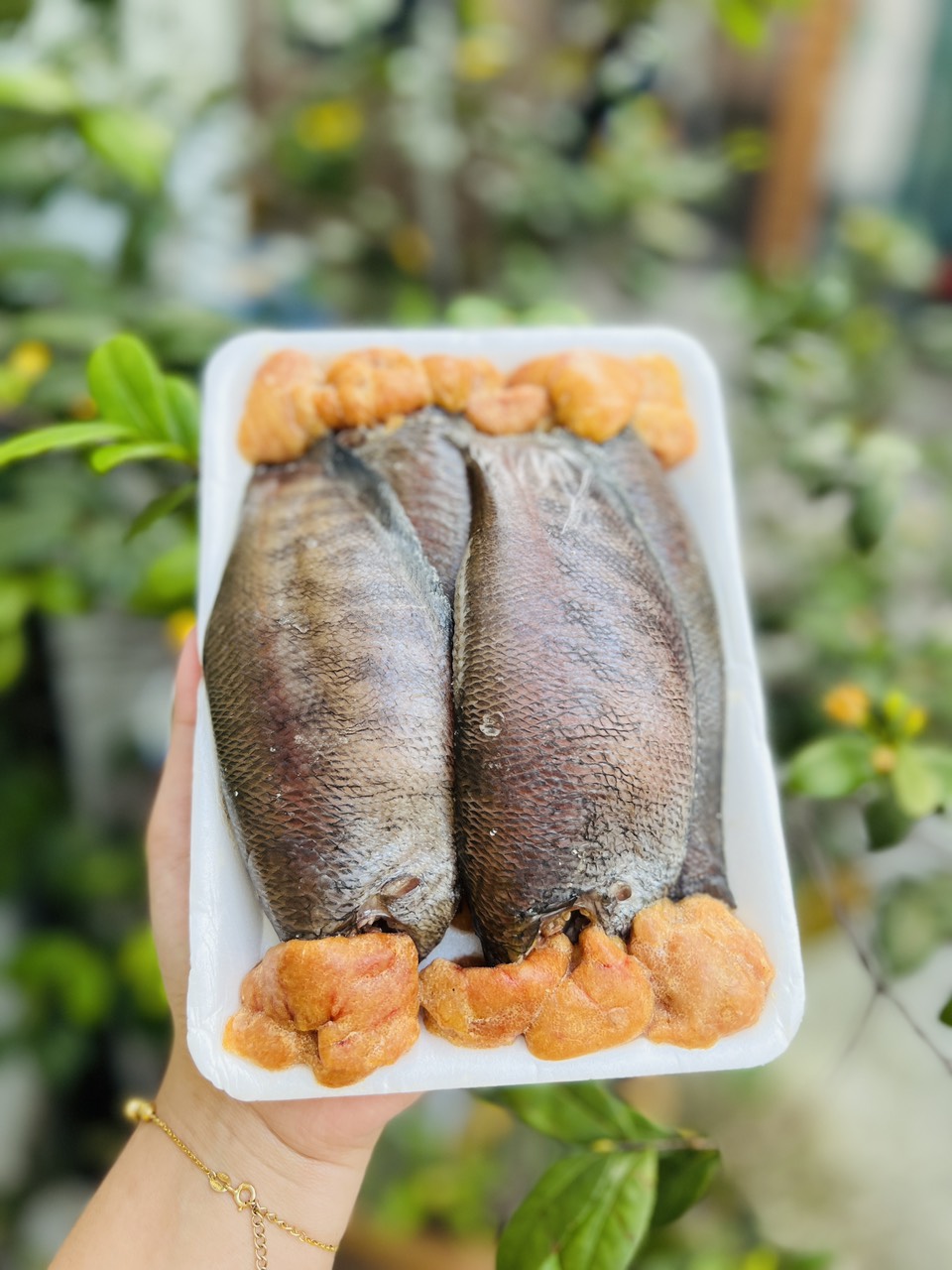 [GIAO NHANH 2H HCM] Giá Sỉ Cá Sặc Trứng 1 Nắng