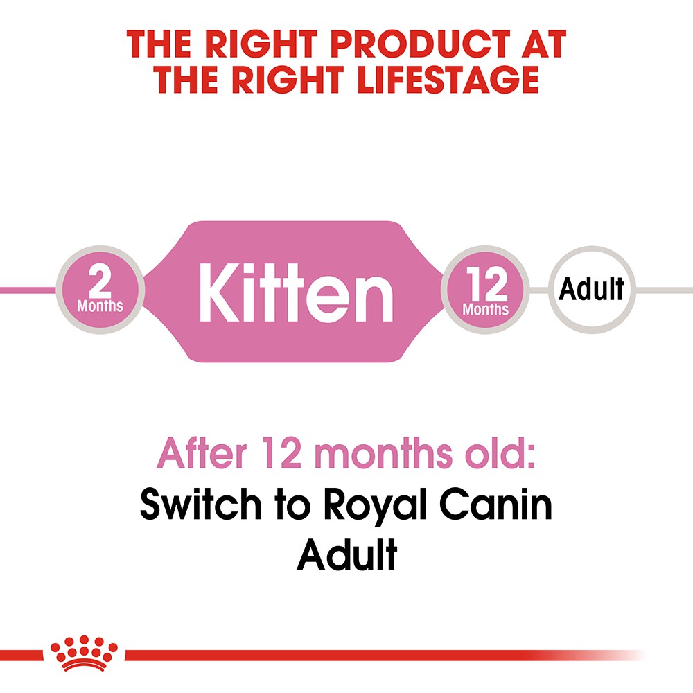 [1Kg-2Kg] Hạt ROYAL CANIN Kitten Dành Cho Mèo Con