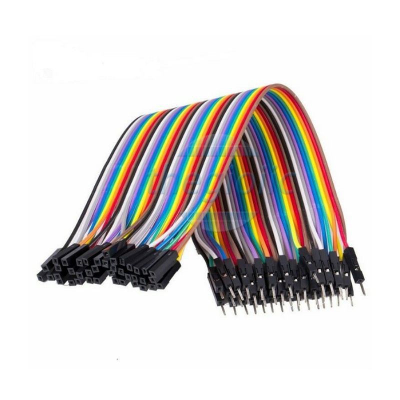 Dây bẹ đực-cái dài 20cm -th101