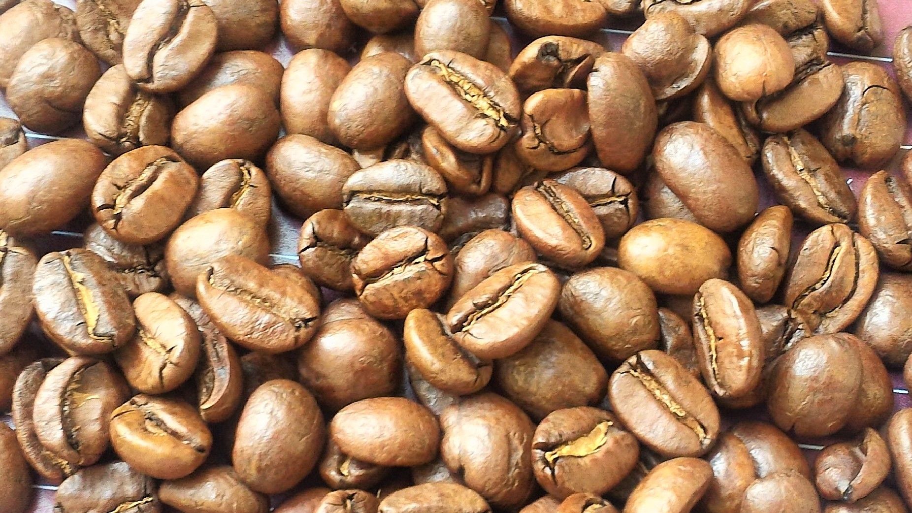 500g hạt cà phê arabica ranh mộc