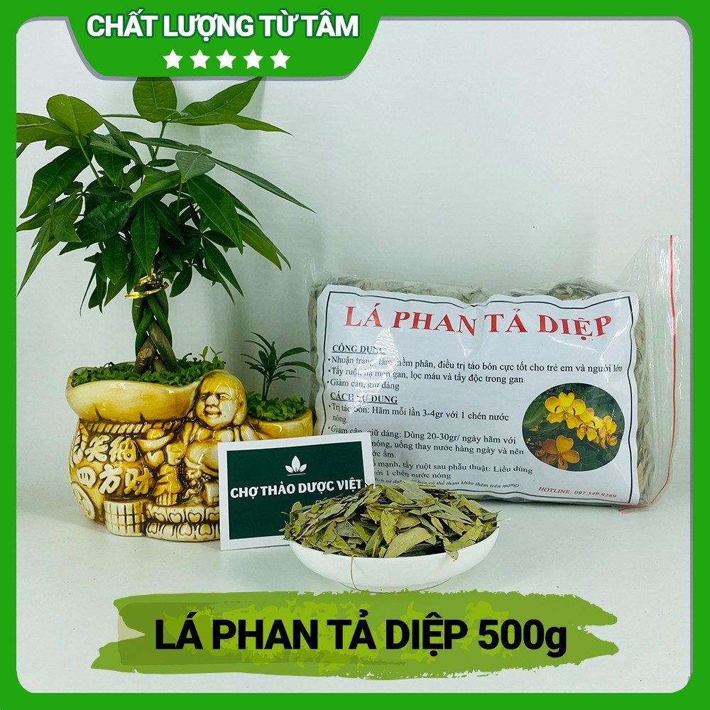 [Giá Sỉ] 1kg Lá Phan Tả Diệp Sạch Đẹp