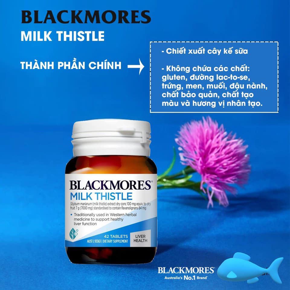 Gan Blackmores Milk Thistle 42 viên