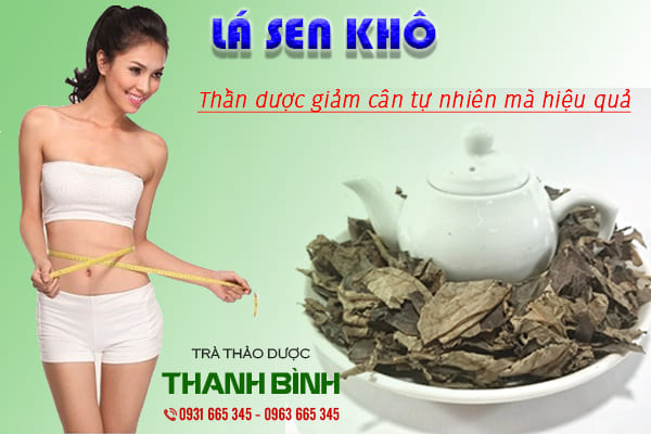 Lá sen khô 1kg loại 1 hàng công ty - thảo dược thanh bình
