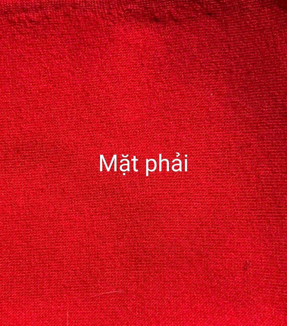 Vải thun nỉ dầy, 1 mặt lông, màu Đỏ (dài 1m * khổ 1m6)