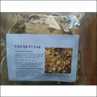Cây quýt gai khô 500g GT314