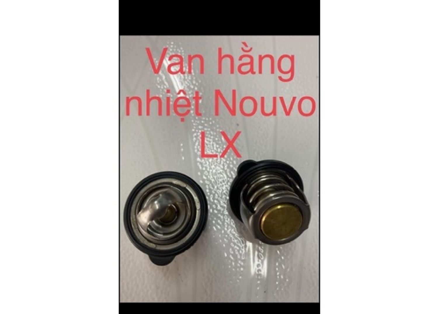 Van hằng nhiệt (lúp pê nước) xe Nouvo 4 (Nouvo LX)