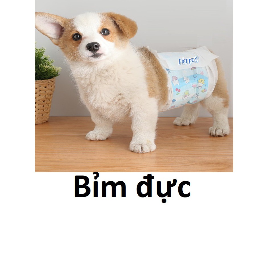 (Lẻ 1 miếng) Bỉm quần thú cưng dạng dán cho chó đực và chó cái
