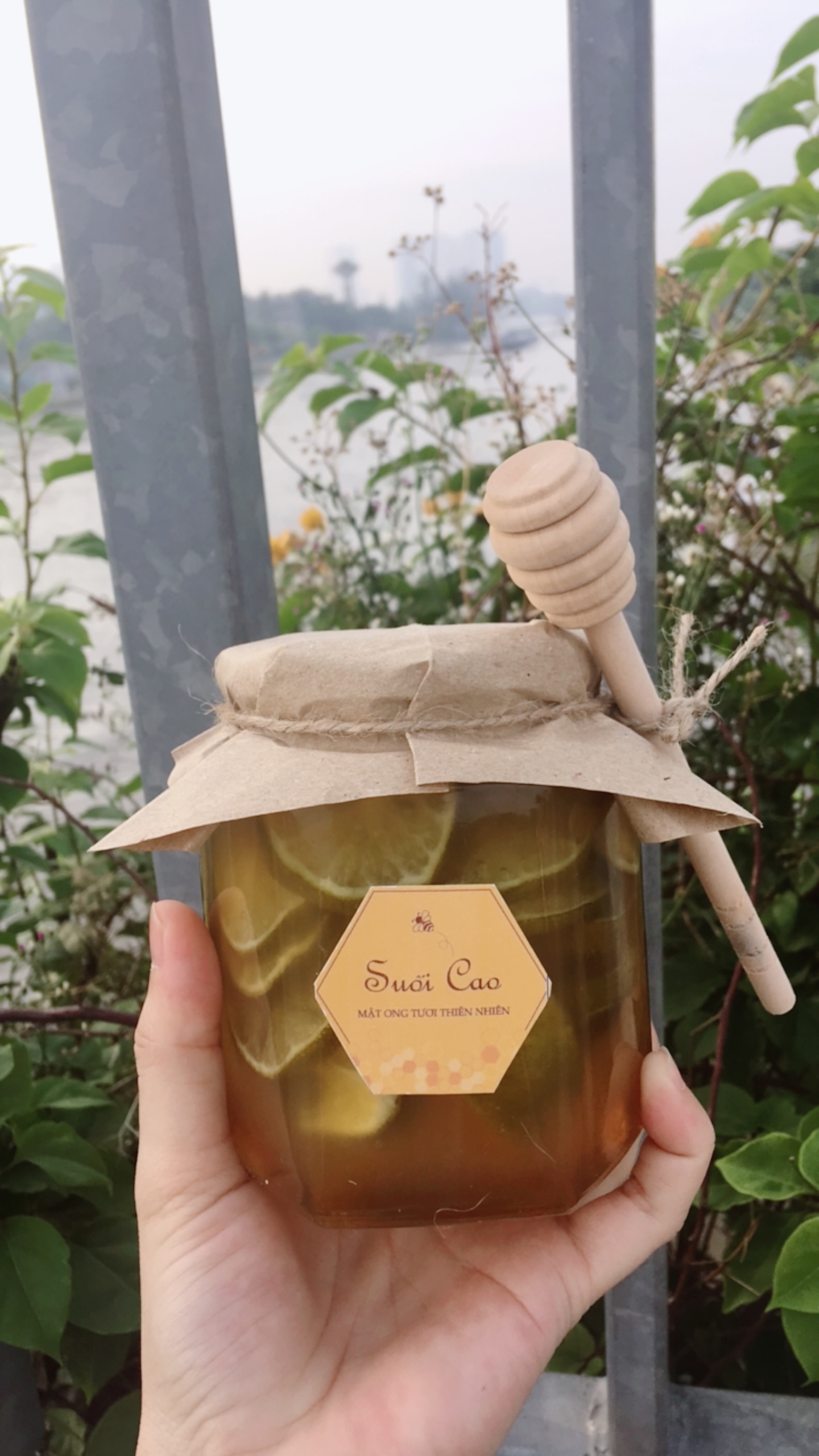 CHANH-NGÂM-MẬT-ONG-ĐƯỜNG-PHÈN-380ML